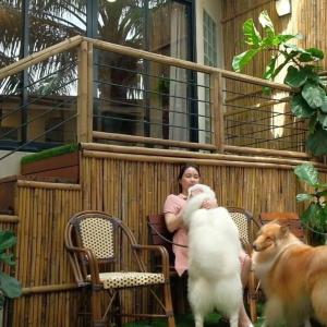 Double or Twin Room with Garden View