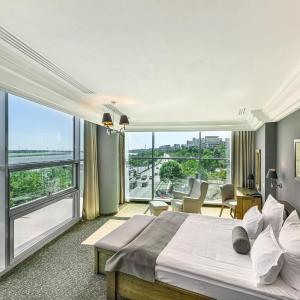 Presidential Suite panoramic Danube View