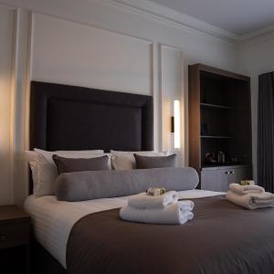 Superior Deluxe Double or Twin Room 