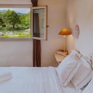 Superior One-Bedroom Apartment (3 Adults)