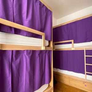 Bunk Bed in Superior 6-Bed Female Dormitory Room