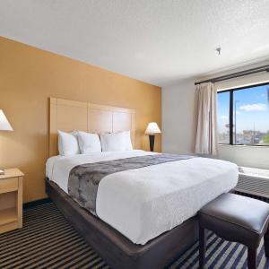 Executive King Suite - Non-Smoking