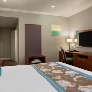 King Room - Non-Smoking