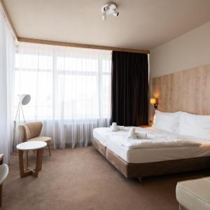 Deluxe Double Room with Bath Or Shower