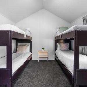 Standard Cabin (Bunks)