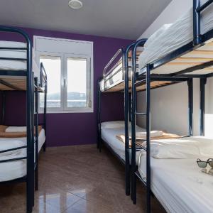 Bed in 6-Bed Female Dormitory Room
