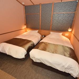 Deluxe Twin Room with River View - Non-Smoking