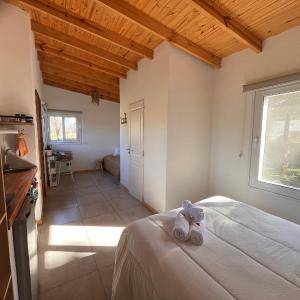 Studio with Garden View