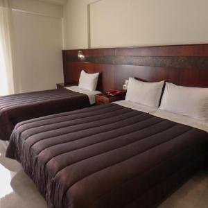 Triple Room with Pool View