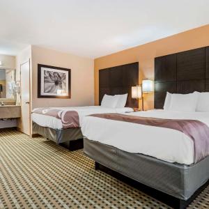 Queen Room with Two Queen Beds