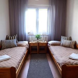 Comfort Apartment (4 Adults) 