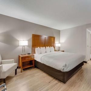 King Room - Disability Access/Non Smoking 