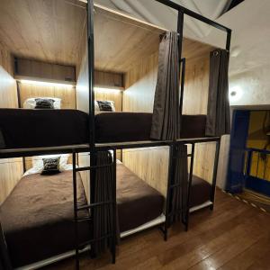 Bunk Bed in Mixed Dormitory Room