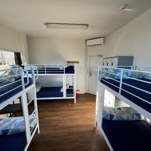 Bed in 6-Bed Dormitory Room