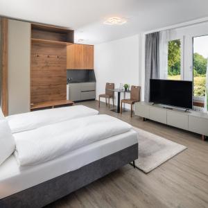 Deluxe Apartment with Partial Lake View