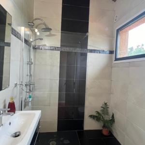 Standard Double Room with Shared Bathroom