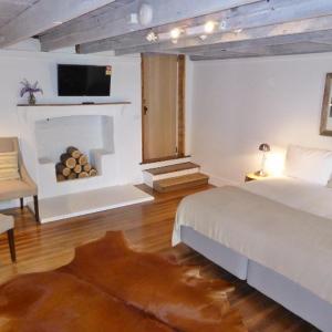 Premium One-Bedroom