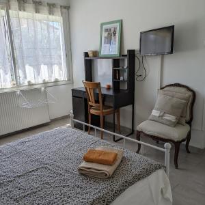 Single Room with Garden View
