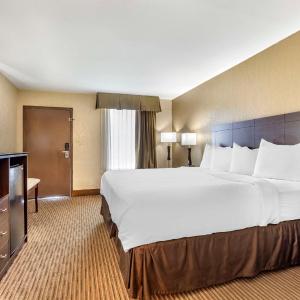 Double Room with Two Double Beds and Roll-In Shower - Mobility Access/Non-Smoking