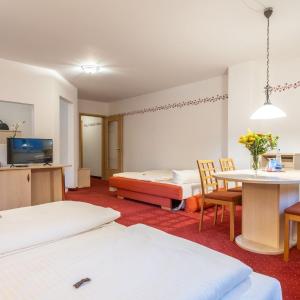1-Room Apartment (3 adults)