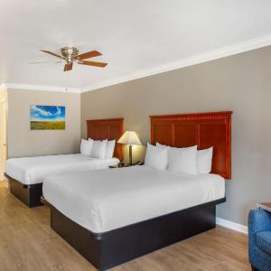 Queen Room with Two Queen Beds and Roll-In Shower - Disability Access/Non-Smoking