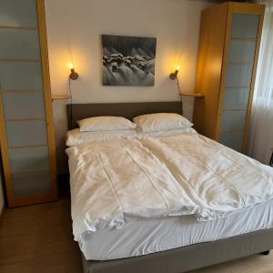Budget Garden Studio with Matterhorn View