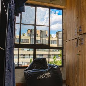 Bunk Bed in 6-Bed Dormitory Room