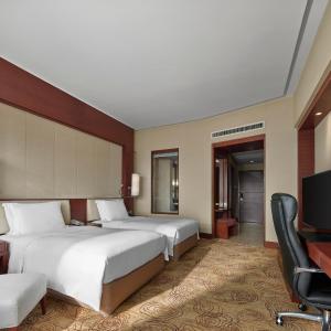 Hilton Executive Double Room with Access to the Executive Lounge