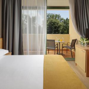 Economy Room with French Bed and Balcony - Park Side