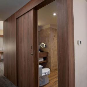 Junior King Suite with City View