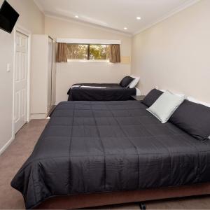 Studio Bungalow