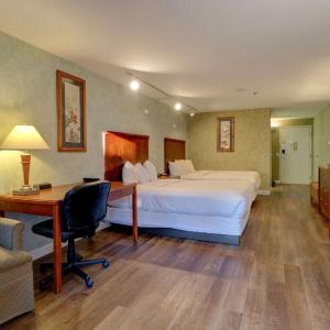 Premium Two Queen | Pet-Friendly