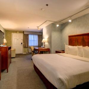 Premium King Room
