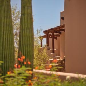 Premier Casita with King Room - Accessible 