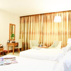 Deluxe Double or Twin Room with River View