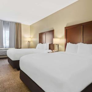 Queen Room with Two Queen Beds and Roll-In Shower - Accessible/Smoking