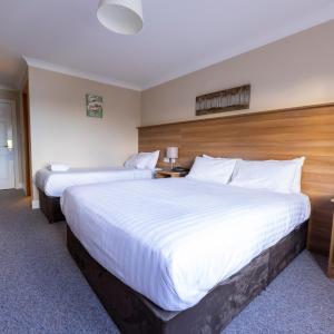 Deluxe Double or Twin Room with River View