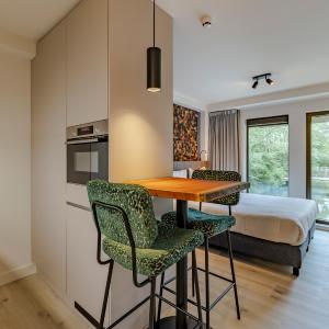 Executive Studio 22m2