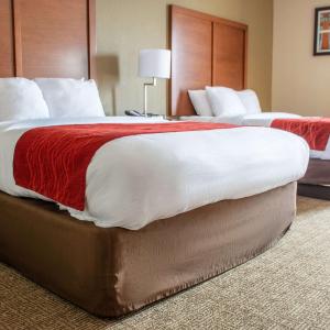 Queen Room with Two Queen Beds - Accessible/Non-Smoking 