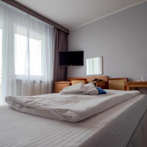 Single Room with Balcony