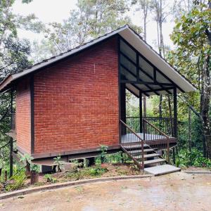 Forest View Cottage