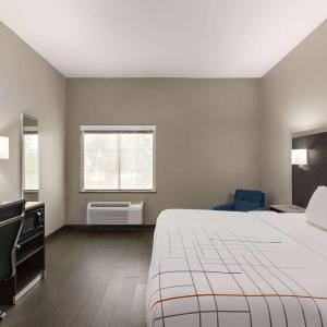 King Room with Roll-In Shower - Mobility Access/Non-Smoking