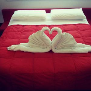 Bed in 4-Bed Female Dormitory Room