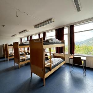 Bed in 18-Bed Mixed Dormitory Room