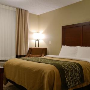 Queen Room - Mobility Accessible - Non-Smoking