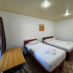 Basic Triple Room
