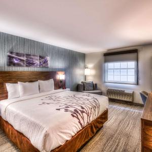 King Room with Roll in Shower - Accessible/Non Smoking