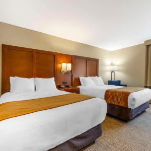 Double Room with Two Double Beds