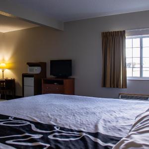 Standard Single Room with Sauna