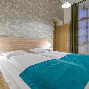 Deluxe One-Bedroom Apartment